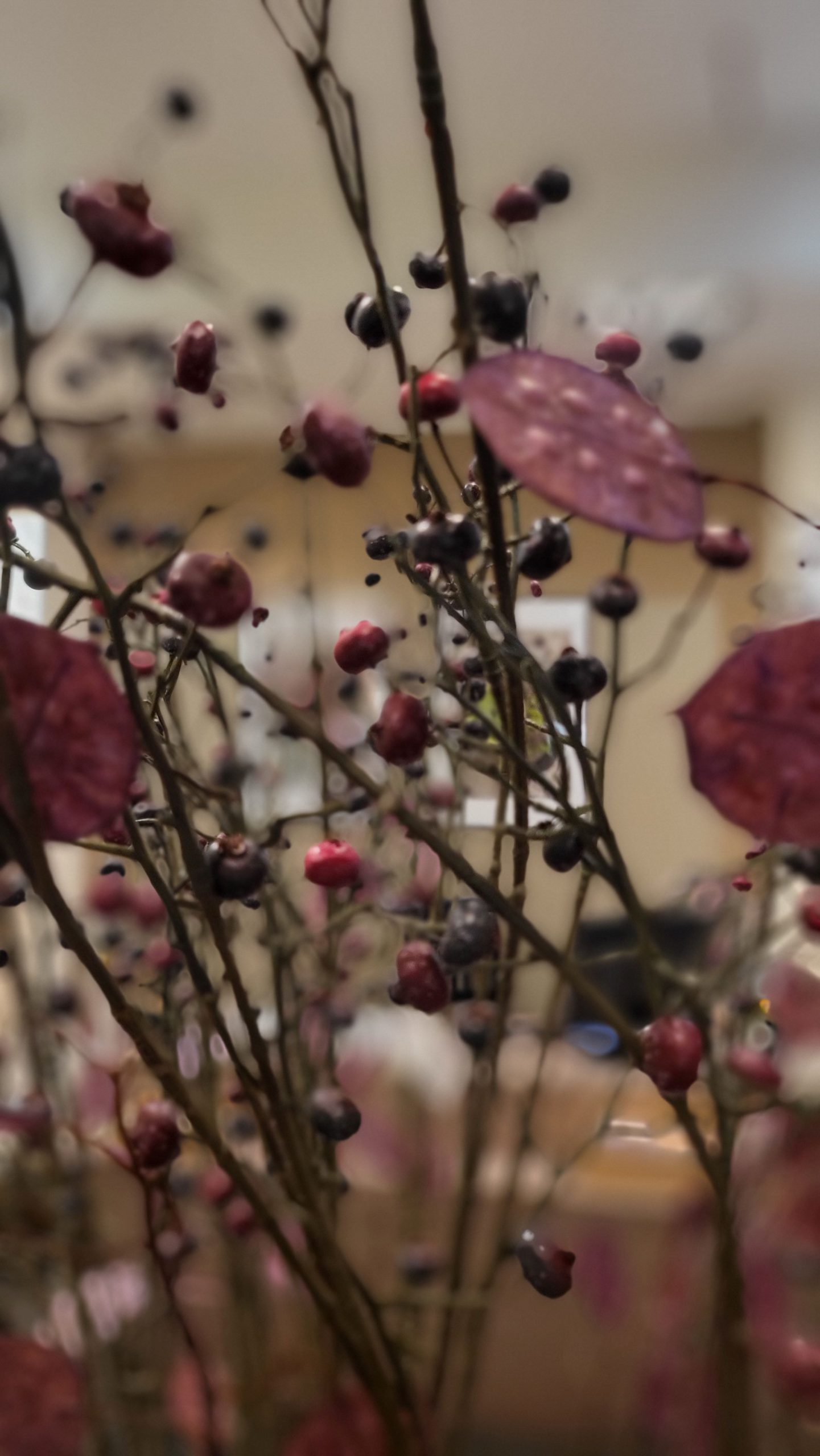 granaBobice, h118cm, crveno/plavo - Slika 2