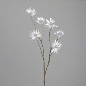 grana Margareta, h 115cm, srebrno/light roso