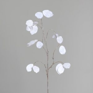 grana Dollar, h83cm, bijela