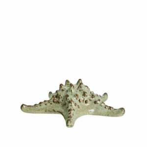 dekor morska zvijezda, 17xh6cm, bež