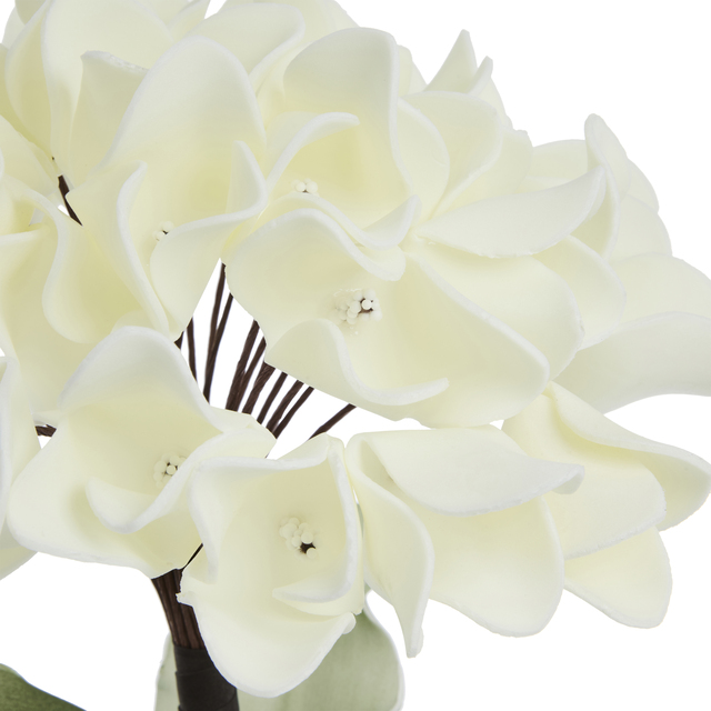 cvijet Happia hort 23xh76cm, bež - Slika 3