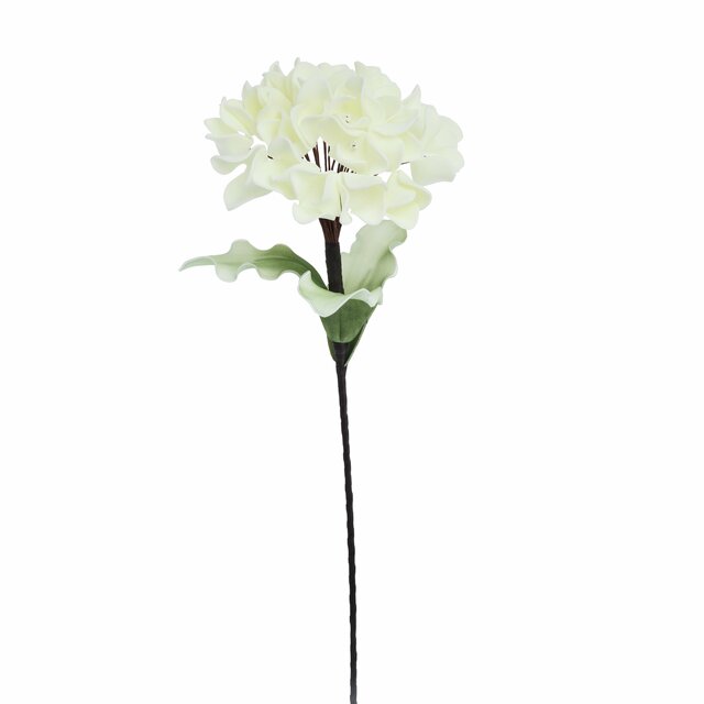 cvijet Happia hort 23xh76cm, bež