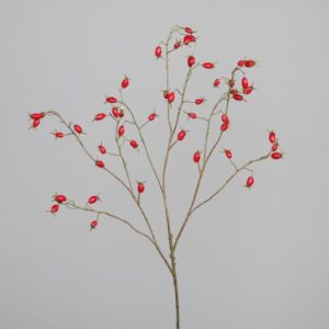 grana Šipak h106cm, crveni