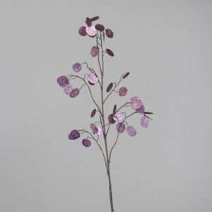 grana Dollar, h125cm, ljubičasta