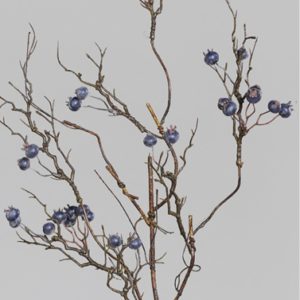 grana Aronija, h85cm, plava