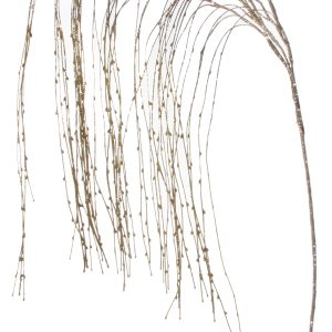 grana Zlatna vrba, h170cm