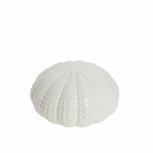 dekor morski jež, d15h8cm, bijeli