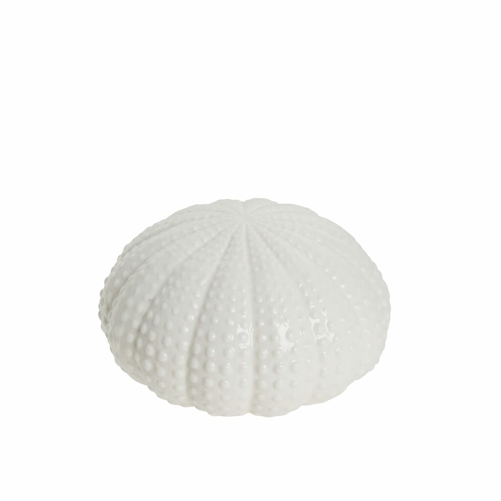dekor morski jež, d15h8cm, bijeli